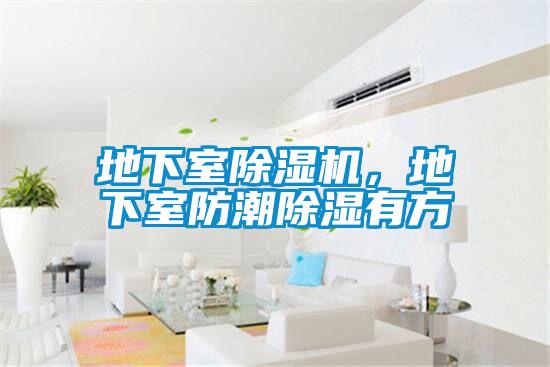 地下室除濕機(jī)，地下室防潮除濕有方