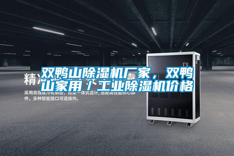 雙鴨山除濕機廠家，雙鴨山家用／工業(yè)除濕機價格