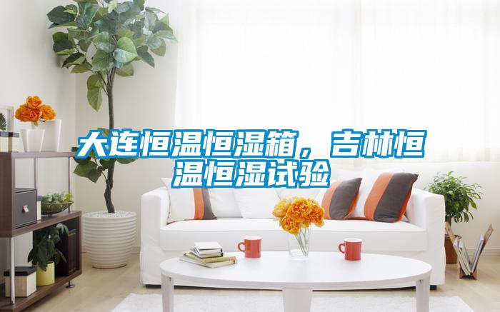 大連恒溫恒濕箱，吉林恒溫恒濕試驗