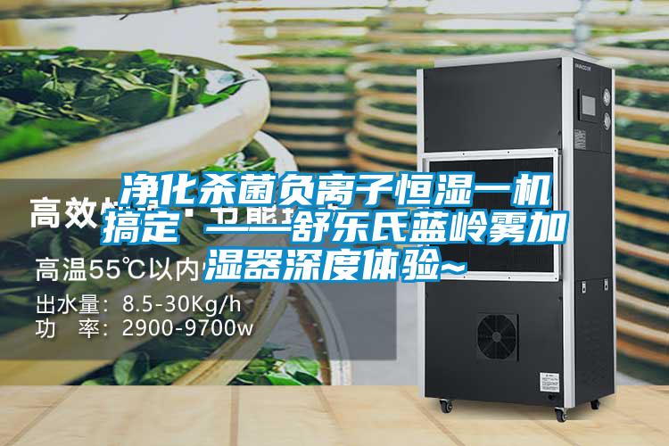凈化殺菌負(fù)離子恒濕一機(jī)搞定 ——舒樂氏藍(lán)嶺霧加濕器深度體驗(yàn)~
