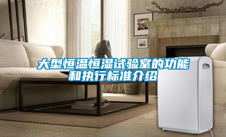大型恒溫恒濕試驗室的功能和執(zhí)行標(biāo)準(zhǔn)介紹