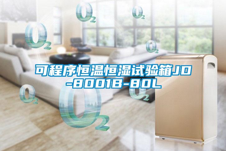 可程序恒溫恒濕試驗(yàn)箱JD-8001B-80L