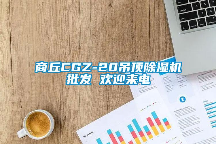 商丘CGZ-20吊頂除濕機批發(fā) 歡迎來電