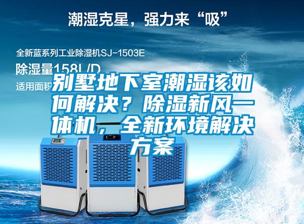 別墅地下室潮濕該如何解決？除濕新風(fēng)一體機(jī)，全新環(huán)境解決方案