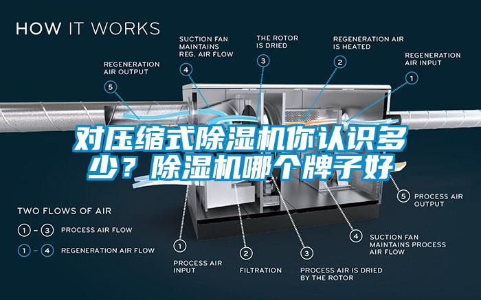 對(duì)壓縮式除濕機(jī)你認(rèn)識(shí)多少？除濕機(jī)哪個(gè)牌子好