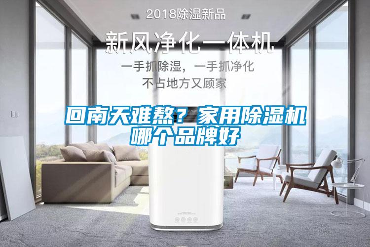 回南天難熬？家用除濕機(jī)哪個(gè)品牌好