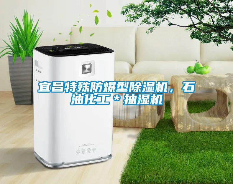 宜昌特殊防爆型除濕機，石油化工＊抽濕機