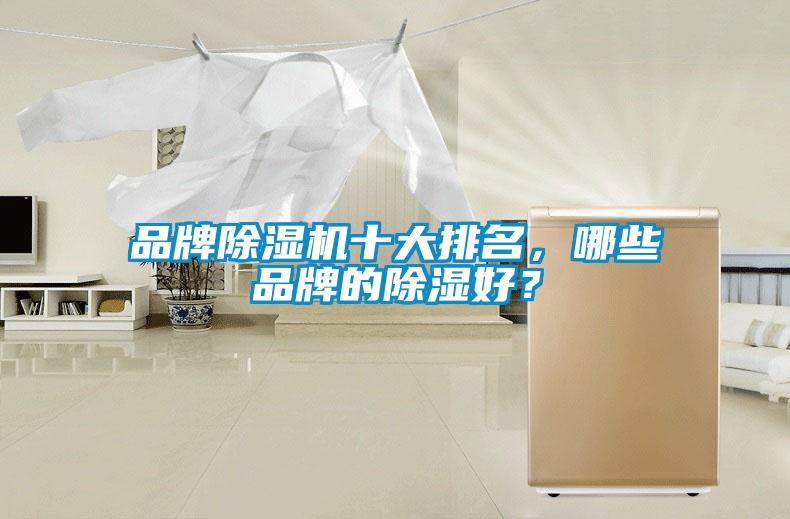 品牌除濕機十大排名，哪些品牌的除濕好？