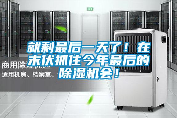 就剩最后一天了！在末伏抓住今年最后的除濕機(jī)會！