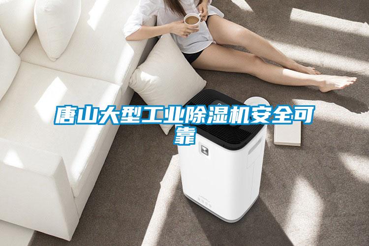 唐山大型工業(yè)除濕機安全可靠
