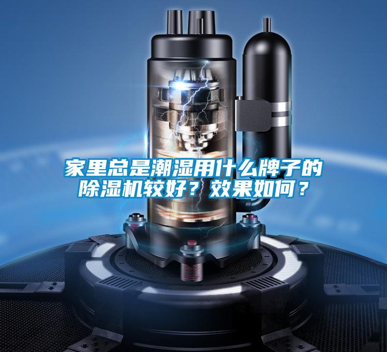 家里總是潮濕用什么牌子的除濕機(jī)較好？效果如何？