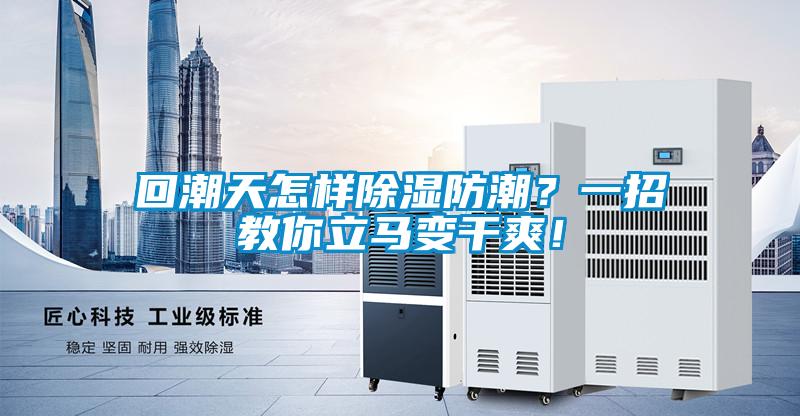 回潮天怎樣除濕防潮？一招教你立馬變干爽！