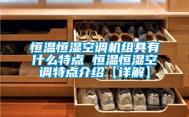 恒溫恒濕空調(diào)機組具有什么特點 恒溫恒濕空調(diào)特點介紹【詳解】