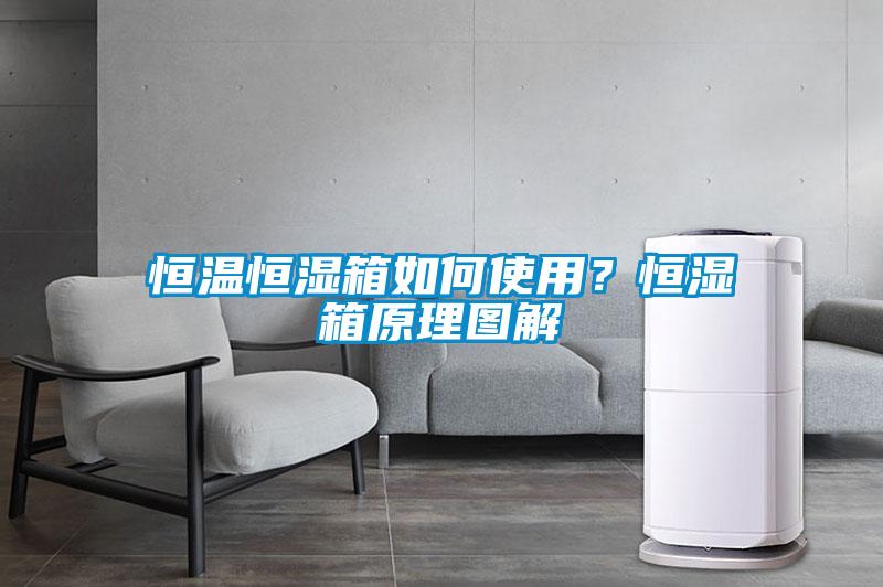 恒溫恒濕箱如何使用？恒濕箱原理圖解