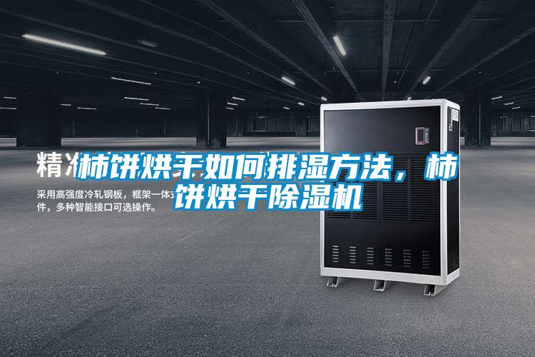 柿餅烘干如何排濕方法，柿餅烘干除濕機