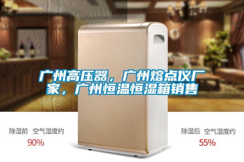廣州高壓器，廣州熔點儀廠家，廣州恒溫恒濕箱銷售