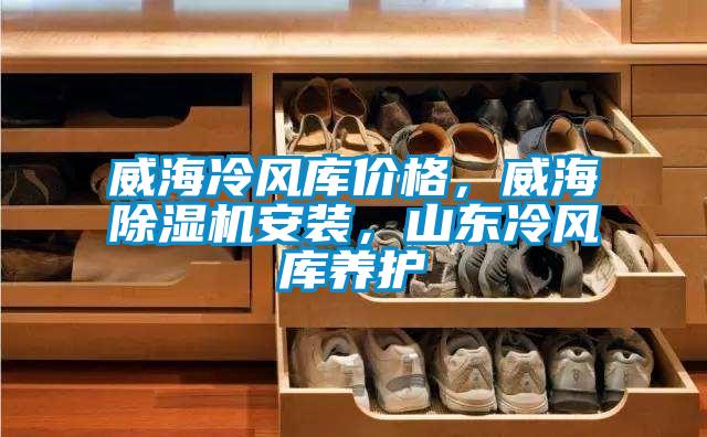 威海冷風(fēng)庫(kù)價(jià)格，威海除濕機(jī)安裝，山東冷風(fēng)庫(kù)養(yǎng)護(hù)