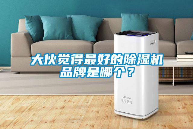 大伙覺得最好的除濕機品牌是哪個？