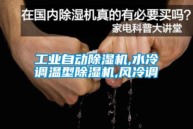 工業(yè)自動除濕機,水冷調(diào)溫型除濕機,風冷調(diào)
