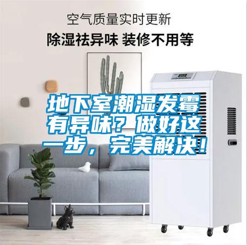 地下室潮濕發(fā)霉有異味？做好這一步，完美解決！