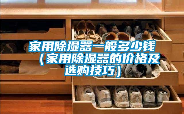 家用除濕器一般多少錢(qián)（家用除濕器的價(jià)格及選購(gòu)技巧）