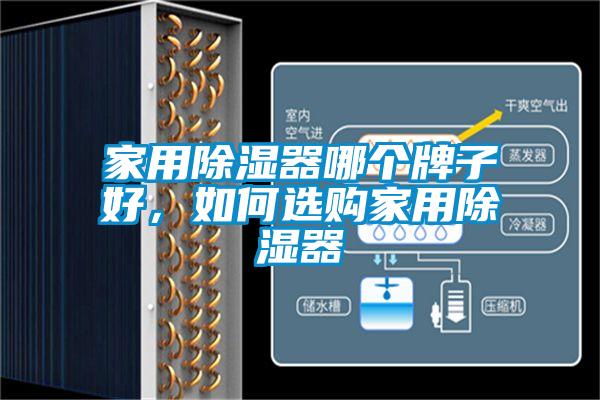家用除濕器哪個牌子好，如何選購家用除濕器