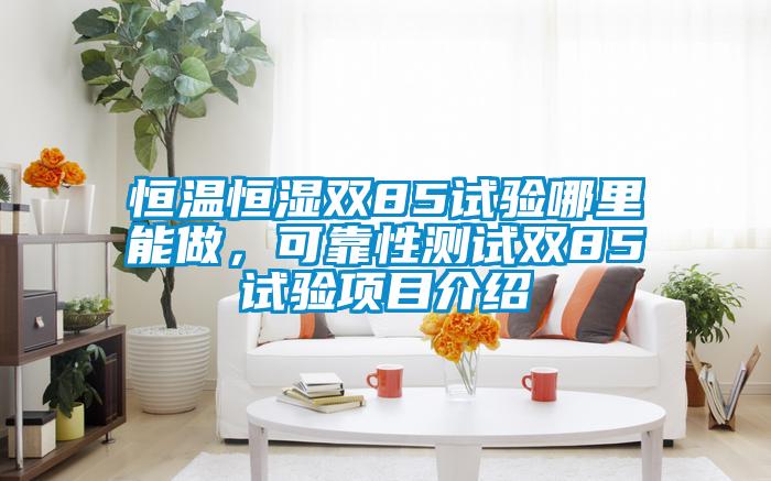 恒溫恒濕雙85試驗?zāi)睦锬茏?，可靠性測試雙85試驗項目介紹
