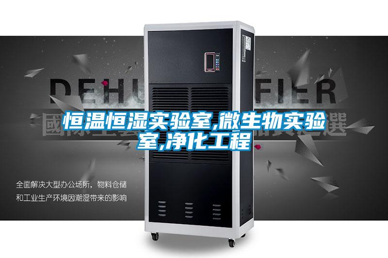恒溫恒濕實(shí)驗(yàn)室,微生物實(shí)驗(yàn)室,凈化工程