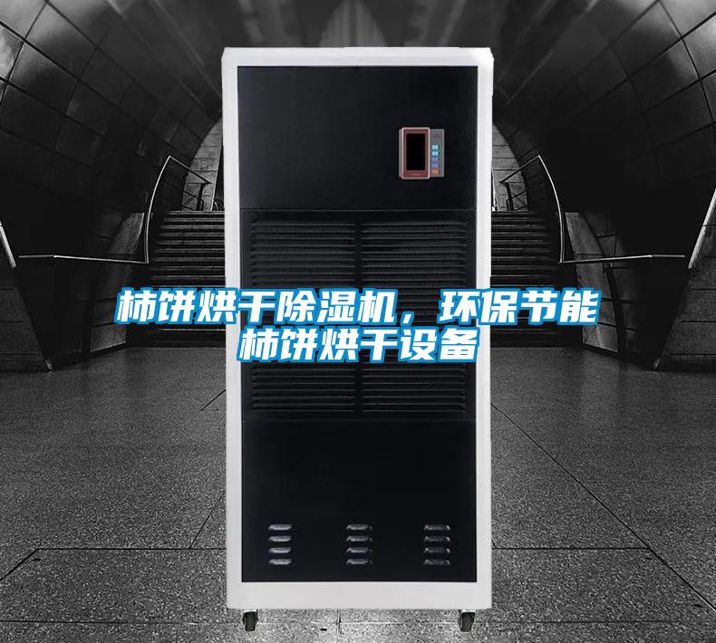 柿餅烘干除濕機，環(huán)保節(jié)能柿餅烘干設備