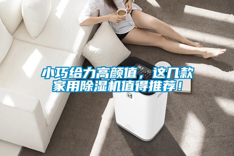 小巧給力高顏值，這幾款家用除濕機(jī)值得推薦！