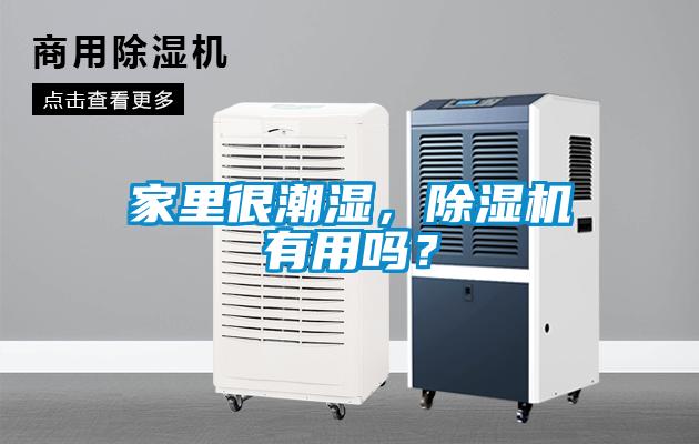 家里很潮濕，除濕機(jī)有用嗎？