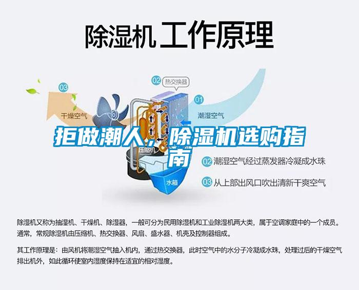 拒做潮人，除濕機(jī)選購指南