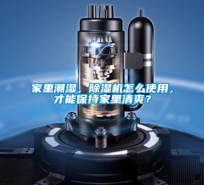 家里潮濕，除濕機(jī)怎么使用，才能保持家里清爽？