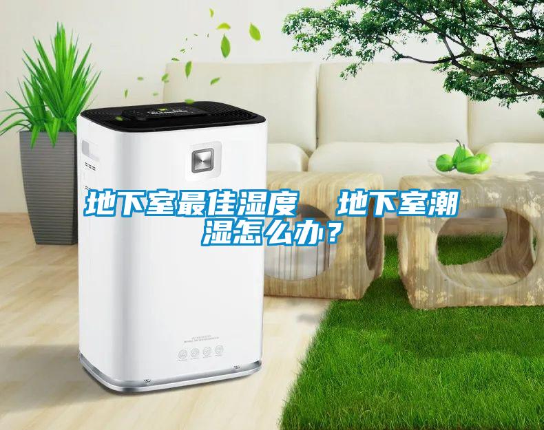 地下室最佳濕度  地下室潮濕怎么辦？