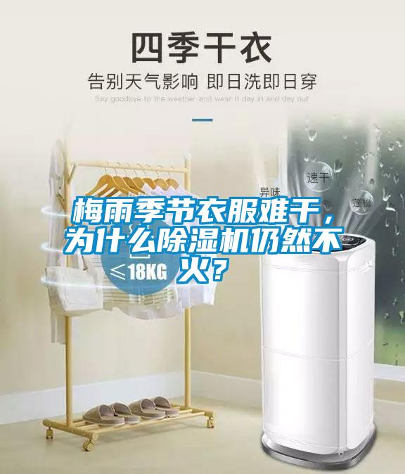 梅雨季節(jié)衣服難干，為什么除濕機仍然不火？