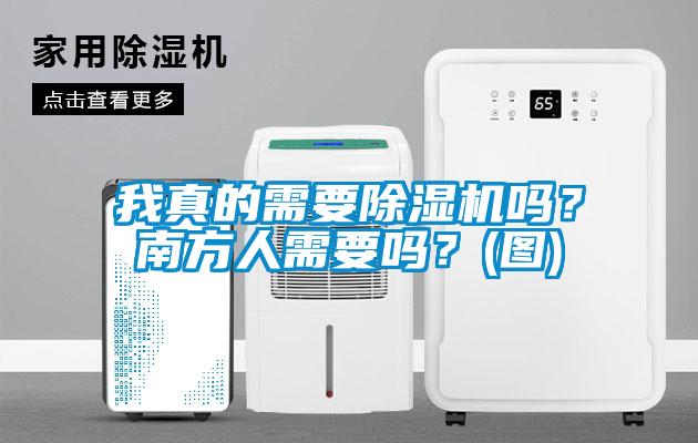 我真的需要除濕機嗎？南方人需要嗎？(圖)