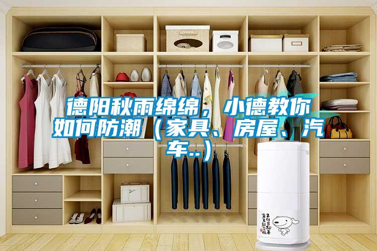 德陽(yáng)秋雨綿綿，小德教你如何防潮（家具、房屋、汽車..）