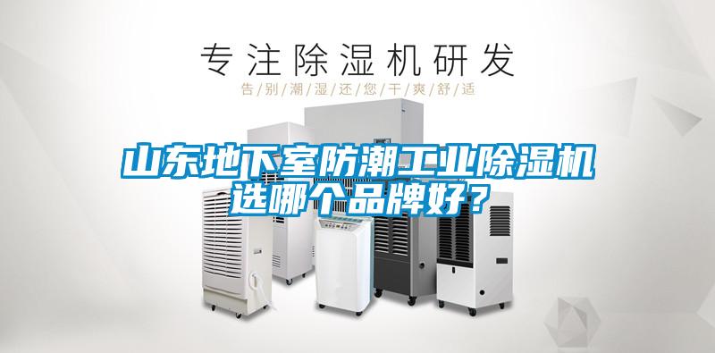山東地下室防潮工業(yè)除濕機(jī)選哪個(gè)品牌好？