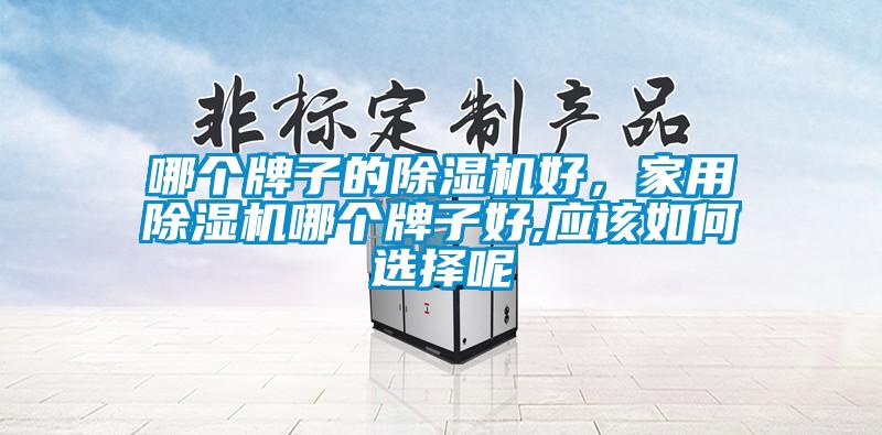 哪個(gè)牌子的除濕機(jī)好，家用除濕機(jī)哪個(gè)牌子好,應(yīng)該如何選擇呢