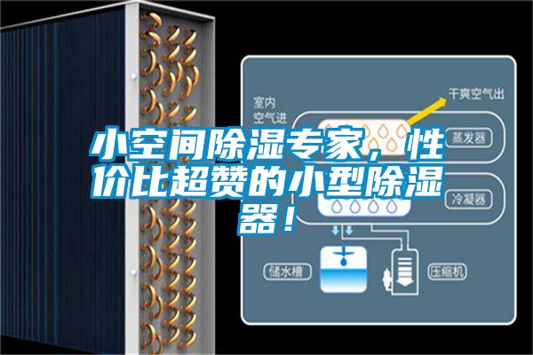 小空間除濕專家，性價(jià)比超贊的小型除濕器！