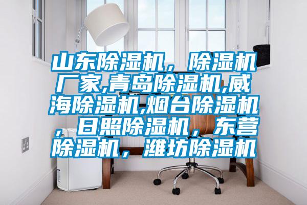 山東除濕機，除濕機廠家,青島除濕機,威海除濕機,煙臺除濕機，日照除濕機，東營除濕機，濰坊除濕機