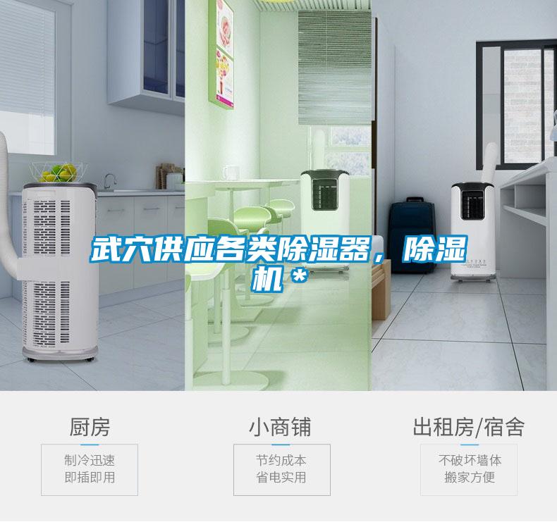武穴供應各類除濕器，除濕機＊