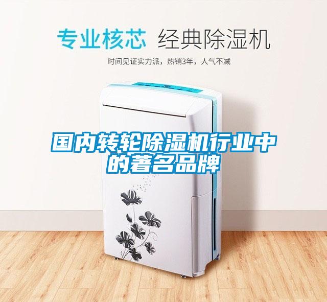 國(guó)內(nèi)轉(zhuǎn)輪除濕機(jī)行業(yè)中的著名品牌