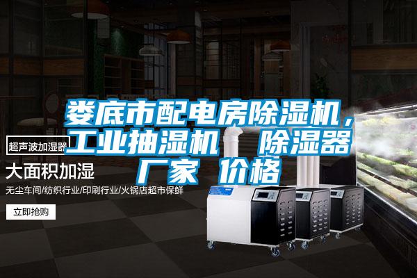 婁底市配電房除濕機(jī)，工業(yè)抽濕機(jī)  除濕器廠(chǎng)家 價(jià)格
