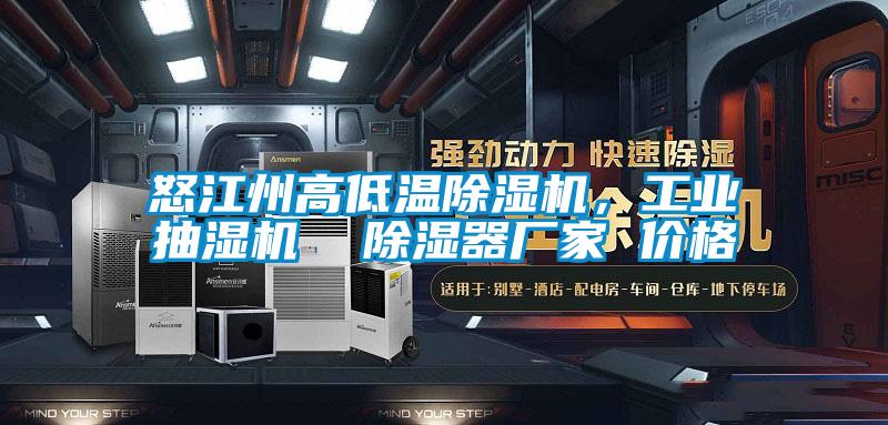 怒江州高低溫除濕機(jī)，工業(yè)抽濕機(jī)  除濕器廠家 價(jià)格
