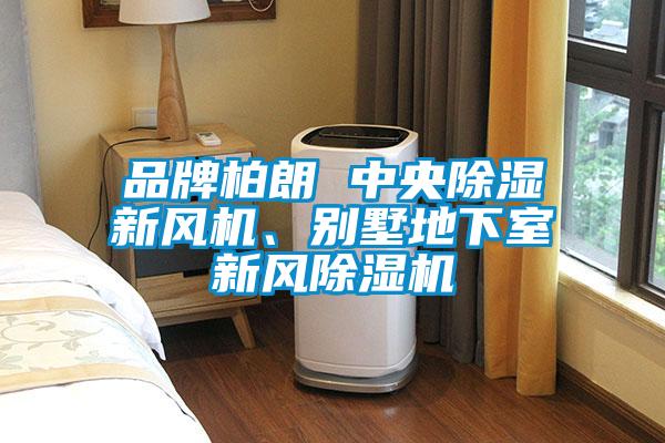 品牌柏朗 中央除濕新風(fēng)機(jī)、別墅地下室新風(fēng)除濕機(jī)