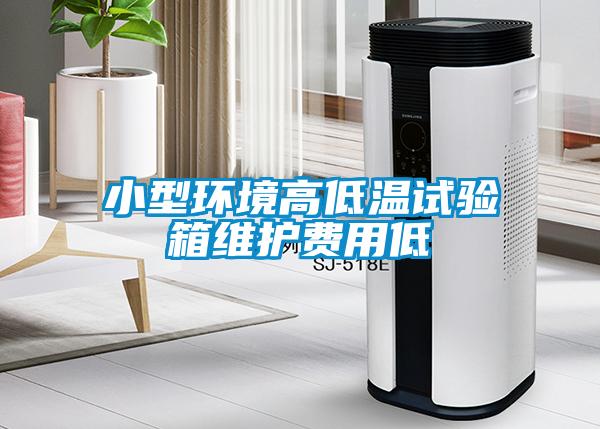 小型環(huán)境高低溫試驗(yàn)箱維護(hù)費(fèi)用低