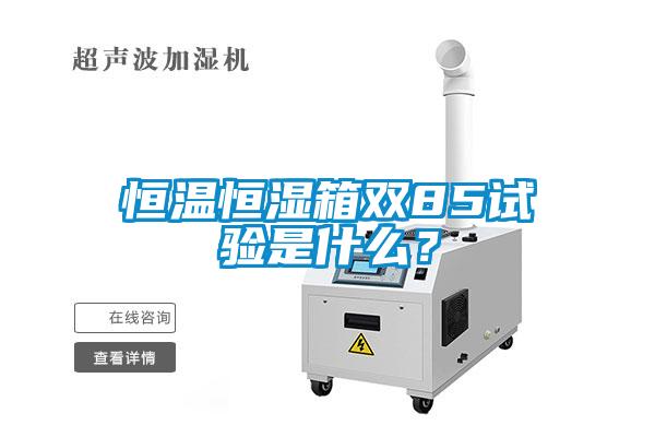 恒溫恒濕箱雙85試驗(yàn)是什么？