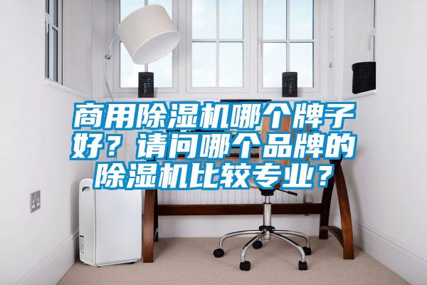 商用除濕機(jī)哪個(gè)牌子好？請問哪個(gè)品牌的除濕機(jī)比較專業(yè)？