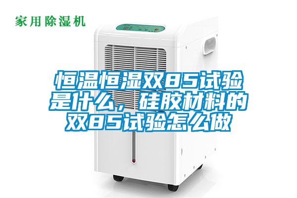 恒溫恒濕雙85試驗是什么，硅膠材料的雙85試驗怎么做